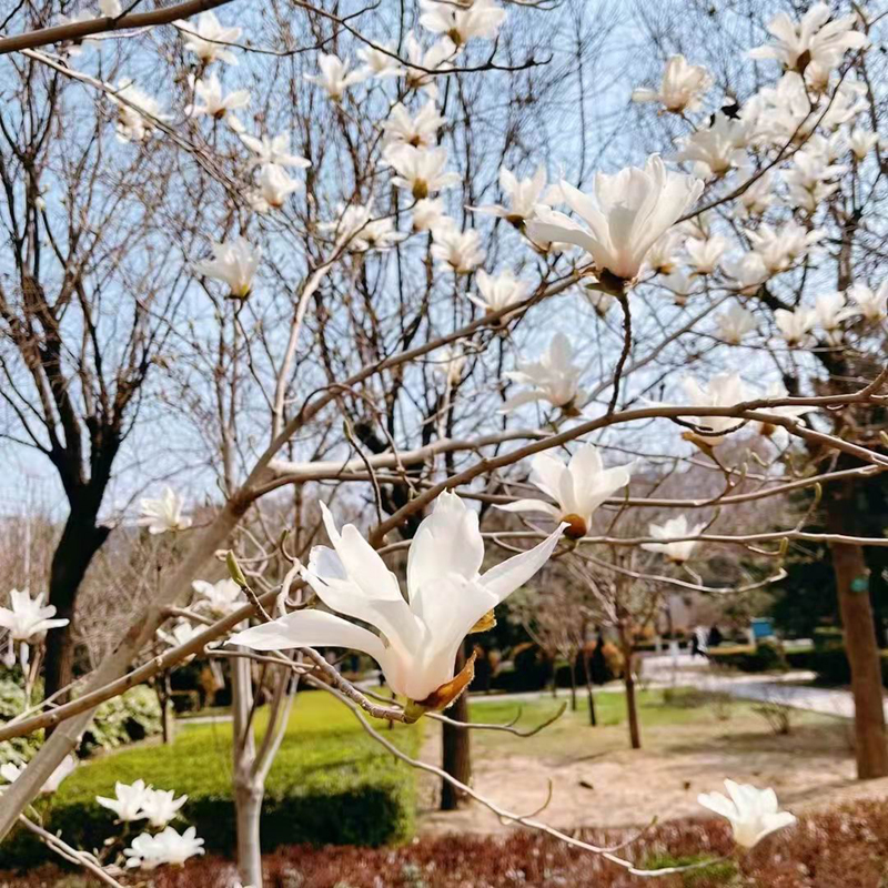 微信图片_20220320100101.jpg 微信图片_20220320100101.jpg