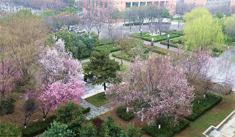 9N1A8851_副本.jpg 9N1A8851_副本.jpg