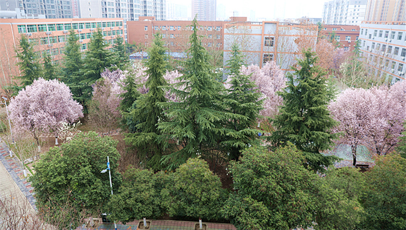 9N1A8836_副本.jpg 9N1A8836_副本.jpg