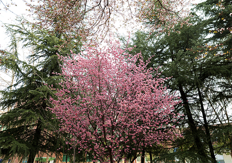 9N1A8441_副本.jpg 9N1A8441_副本.jpg