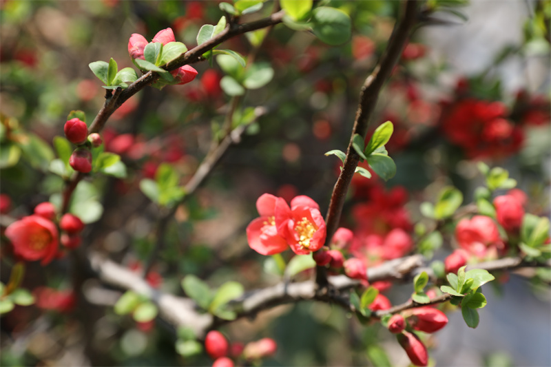 9N1A8092.JPG 9N1A8092.JPG