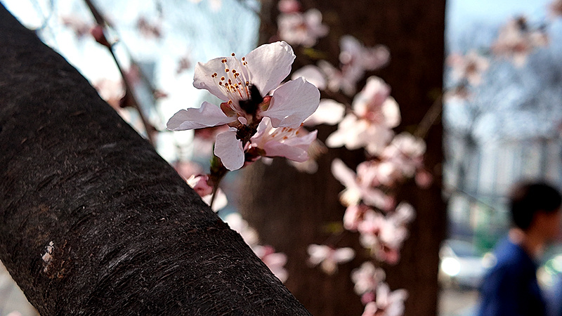 DJI_20260309162055_0215_D_副本.jpg DJI_20260309162055_0215_D_副本.jpg