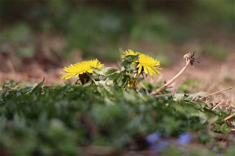 0K9A7127.JPG 0K9A7127.JPG