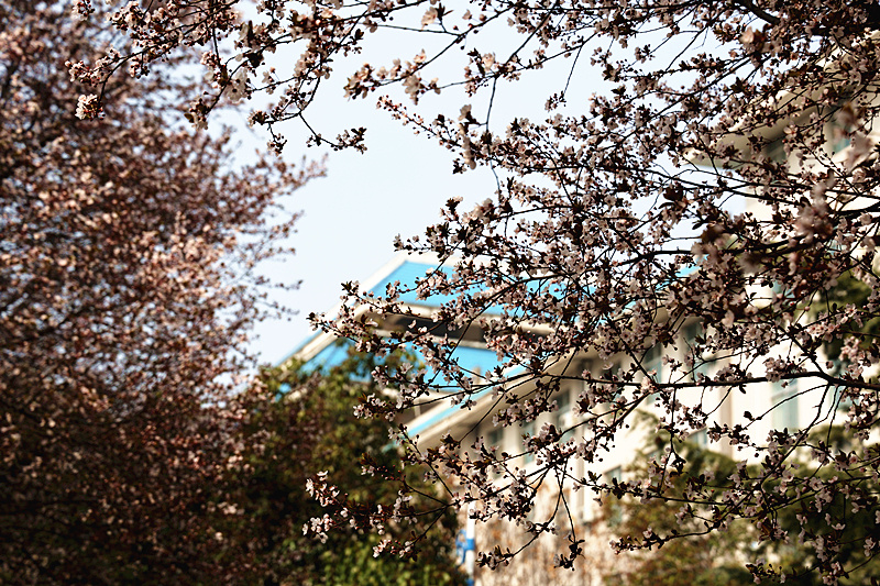 0K9A7095_副本.jpg 0K9A7095_副本.jpg