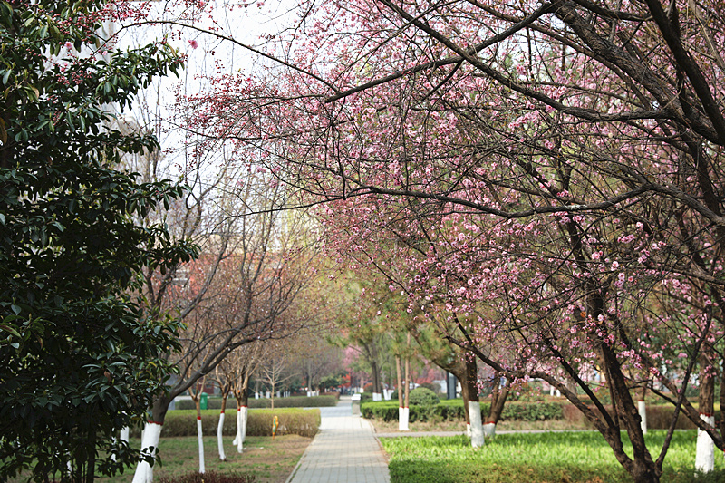 9N1A8450_副本.jpg 9N1A8450_副本.jpg