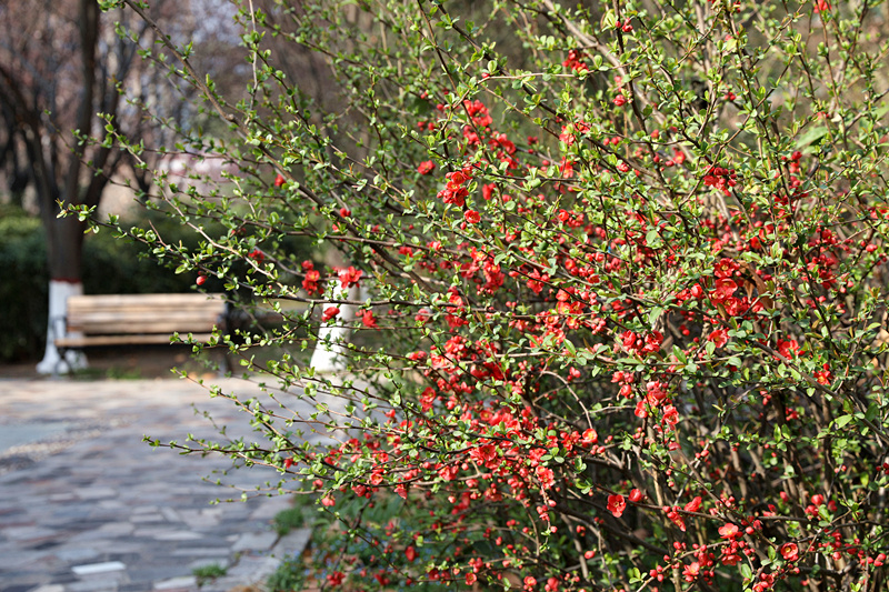 9N1A8146_副本.jpg 9N1A8146_副本.jpg