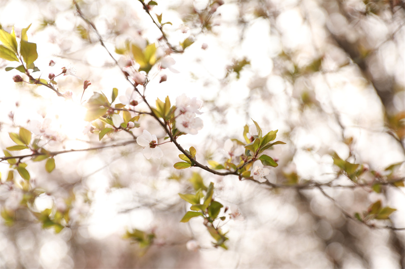 9N1A8344.JPG 9N1A8344.JPG