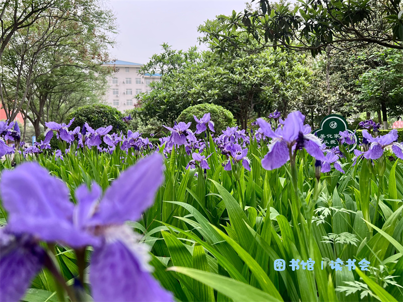 ΢��ͼƬ_20260512172109_427_8.jpg