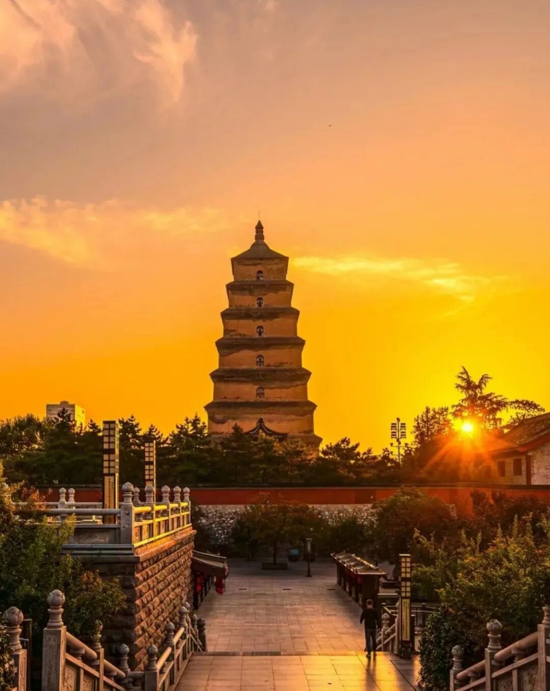 微信图片_2026-07-08_084959_482.jpg 微信图片_2026-07-08_084959_482.jpg